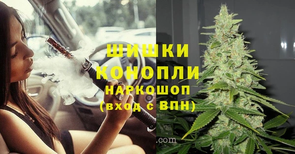 СК Каменка