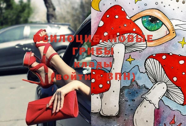 шишки Касимов