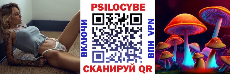 Купить закладки  Заозёрный  Галлюциногенные грибы мицелий 